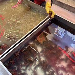 JIU RU XIANG User Photo