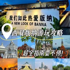 傣景园景颇族绿叶手抓饭 여행 사진