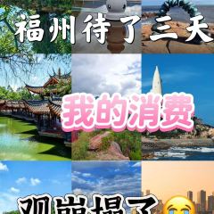 Fuyuwei Ronglaohua User Photo