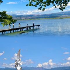 正宗会理鸡火丝(龙眼井店) User Photo