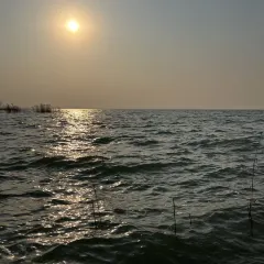 YAO WAN CHUAN CAI User Photo