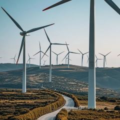 DA WEI ROAST WHOLE LAMB User Photo