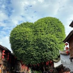 朱富贵火锅(宝信店) User Photo