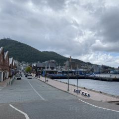 Petite Merveille at Bay User Photo