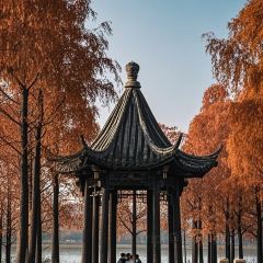 欢乐蟹庄·精品农家乐(阳澄湖莲花岛店) User Photo