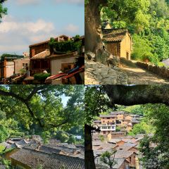 游江小溪鱼馆 User Photo