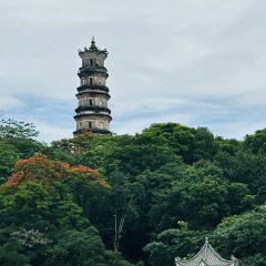 橫沥汤粉張用戶圖片