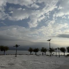 西波魚莊張用戶圖片