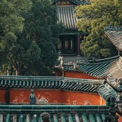 杨记灌肠(食品街店) User Photo