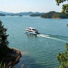 HONGCHI LAOMA SHENGTAI CANTING User Photo