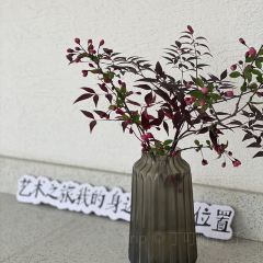 九女峰書房張用戶圖片
