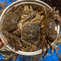 亞馬遜環球海鮮姿造（王府井店）張用戶圖片