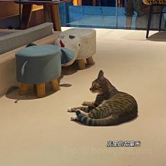 那白厝NABAICUO生日蛋糕定制(台江店) User Photo