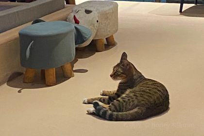 那白厝NABAICUO生日蛋糕定制(台江店)