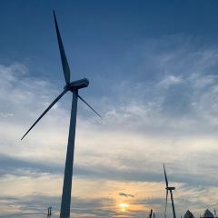 福来花生汤(南后街店) User Photo