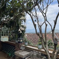 半浮生茶院 User Photo