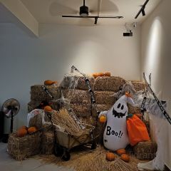 焗造(桂城店) User Photo