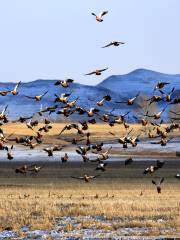 Mingshinghe National Wetland Park