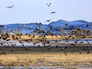 Mingshinghe National Wetland Park