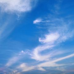 Jiahuabingwu (jinseguangchang) User Photo