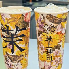 茉上茶田(新天地店) User Photo