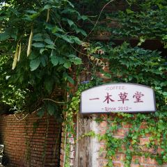 一木草堂咖啡馆 User Photo