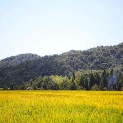 在发呆·lan's浪肆咖啡庄园 User Photo
