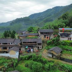 南坑咖啡观赏园 User Photo
