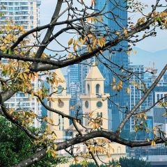 醉仙樓（烏山路店）張用戶圖片