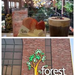 Forest Outings User Photo