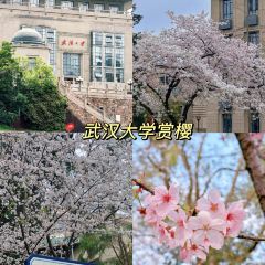 虎子烧烤(民族大道直营店) User Photo