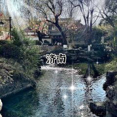 孙家糖油条 User Photo