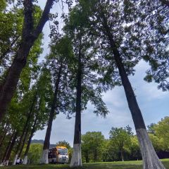 国际湖泊之家 User Photo