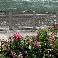 汶川朵沐查民宿 User Photo