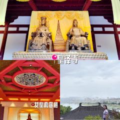 小唐核桃饼 User Photo