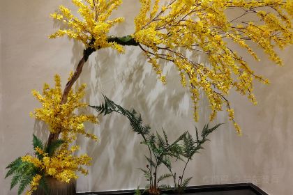 五亩地·土菜研究院