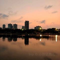 YUE BAI HAI User Photo