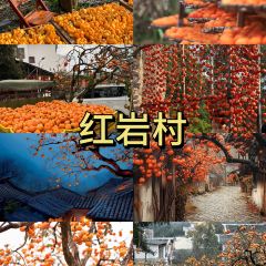 Yaojia Restaurant User Photo