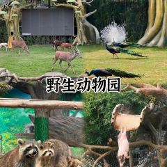 张记逍遥胡辣汤(大坑沿街店) User Photo