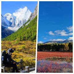 Bawa Tibetan Food User Photo