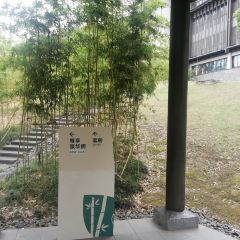 Club Med Joyview安吉度假村(港中旅酒店店) User Photo
