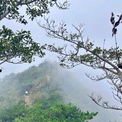 南湾鱼味馆 User Photo