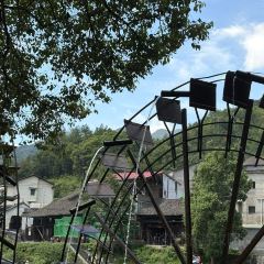 SHANGXILEICHA User Photo