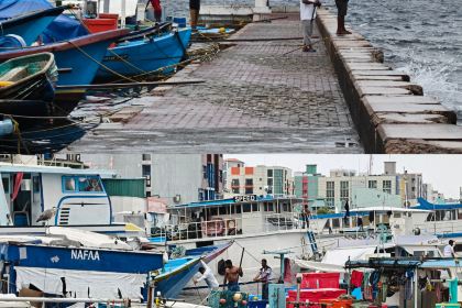 Citron by Lemongrass