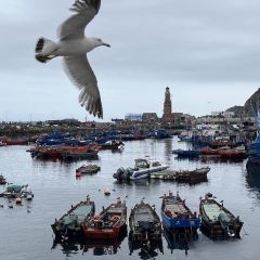 Red Wharf Cheap Seafood Barbecue Food Stalls (Xinghai Store) User Photo