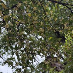 SOMEWHERE kitchen User Photo