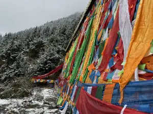 黄龙瑟尔嵯国际大酒店中餐厅