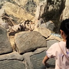 马守疆包头老馆子 User Photo