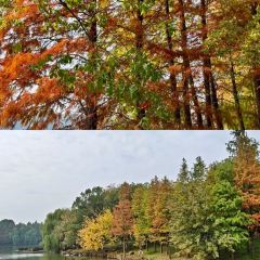 铁锅年代(天台店) User Photo