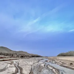 杨老七羊肉粉汤のユーザー投稿写真